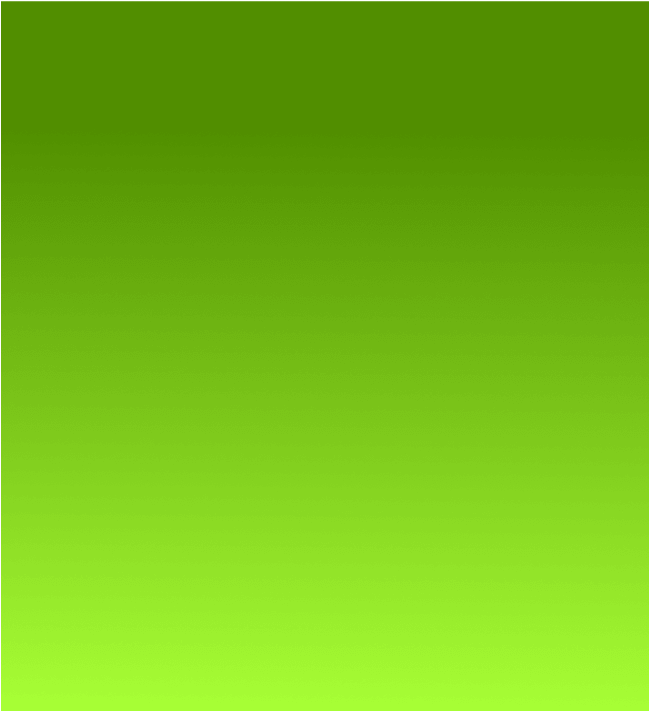 Rectangle 49 1